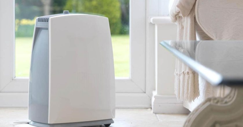 Exploring Dehumidifier Market: Size, Growth, Trends, and Forecast