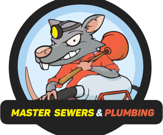 What you need to know about sewer repair services?