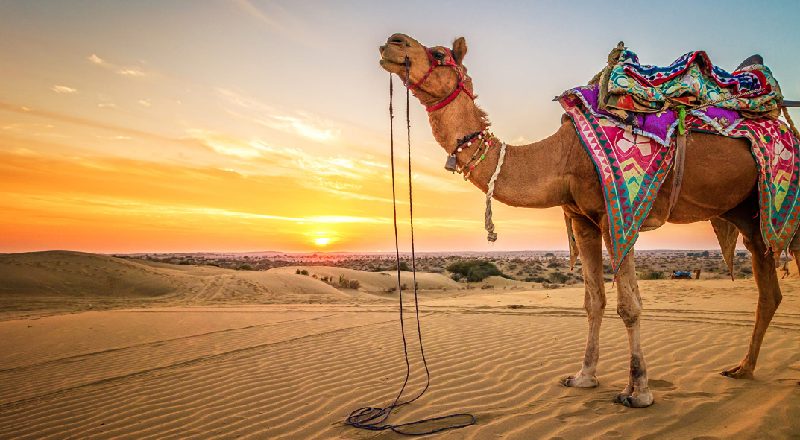 Marvelous Things to Do In Rajasthan Tour
