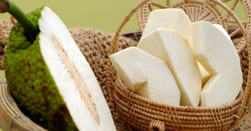 The Benefits of Breadfruit for Men’s Health