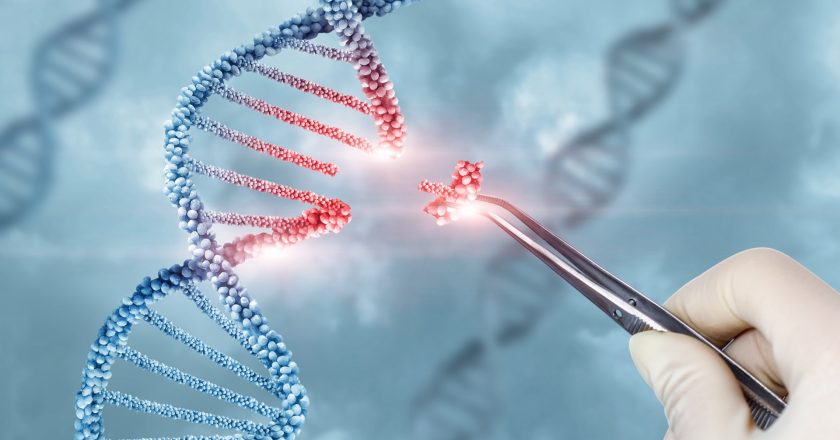 Gene Therapy Market Trends: Size, Share, and Growth Forecast
