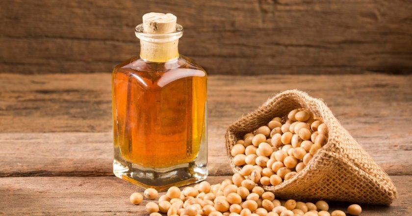The Soybean Oil Market Trends, Analysis, and Growth Forecast 2032