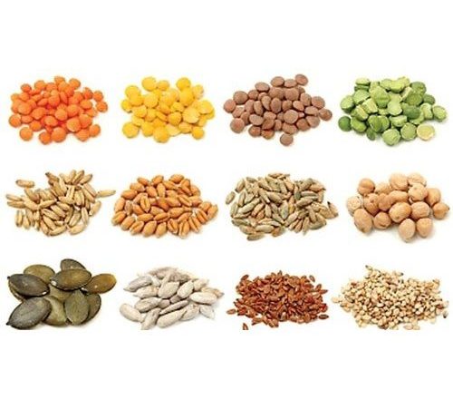 The Vegetable Seeds Market Trends, Analysis, and Growth Forecast 2032